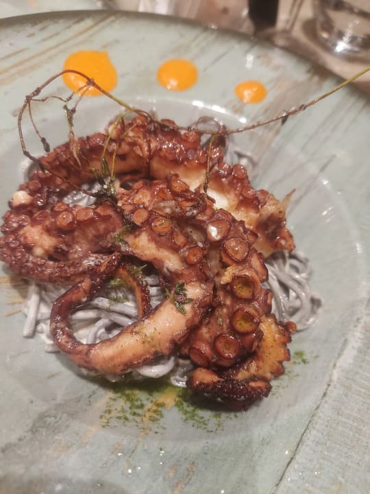 Gastro Arycanda Kirman Premium