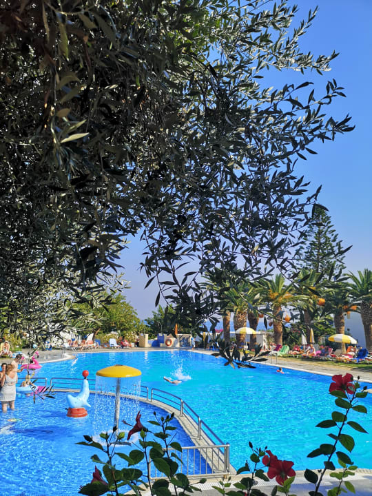 Pool TUI SUNEO Chrissi Amoudia