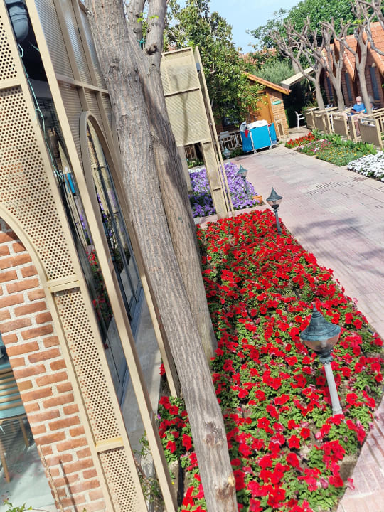 Gartenanlage Can Garden Beach