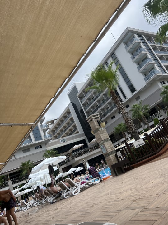 Pool Dizalya Palm Garden