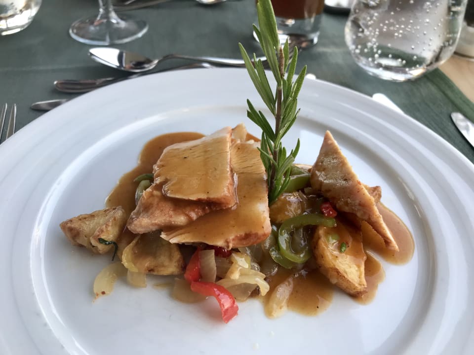 Gastro Acanthus Cennet Barut Collection