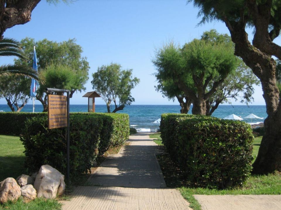 Cretan Malia Park Phãea Cretan Malia