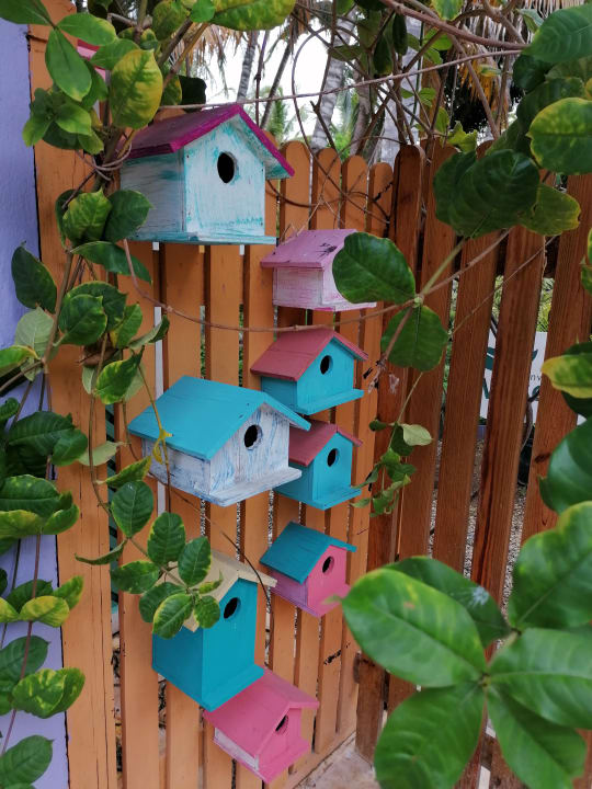 Gartenanlage Catalonia Royal La Romana - Adults only