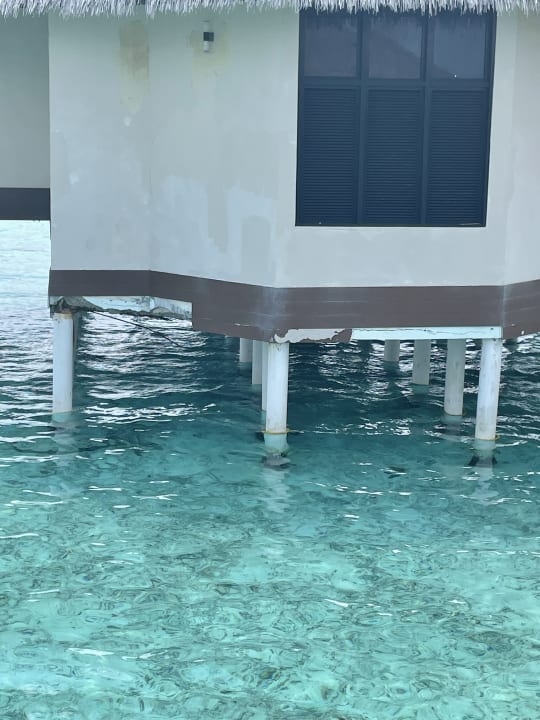 Außenansicht Kihaa Maldives