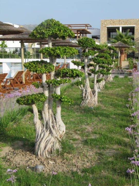 Gartenanlage TUI BLUE Palazzo del Mare