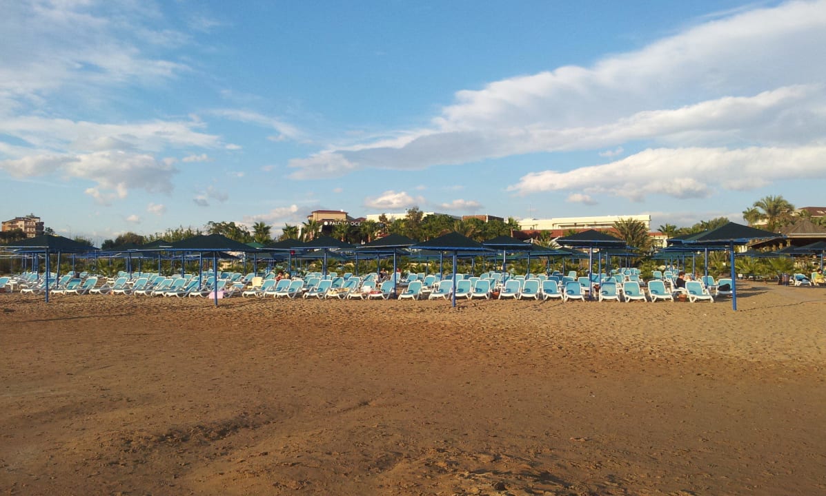 Vom Wasser aus gesehen Paloma Oceana