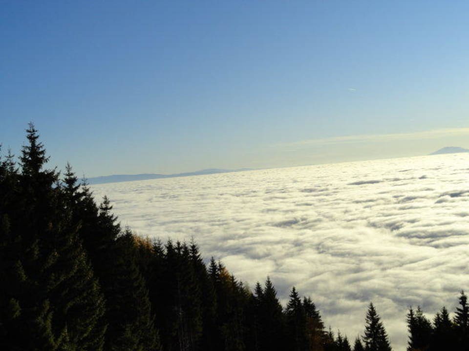 Entspannung pur Alpenhotel Birkenhof
