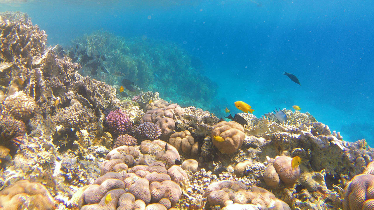 Sport & Freizeit Makadi Spa - Adults only