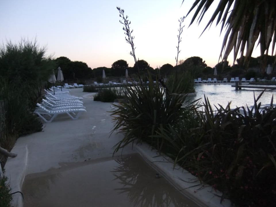 Poolausblick Yelloh Les Secrets De Camargue