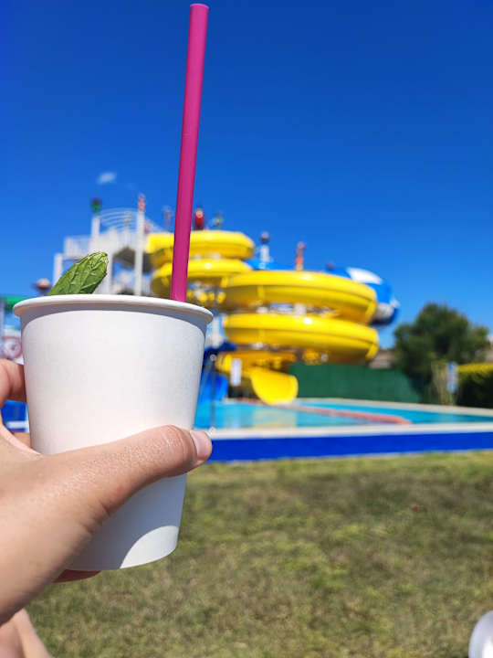 Pool Hotel Miracle Resort