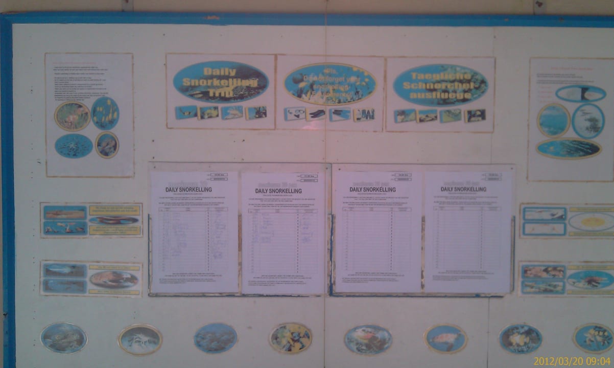 Tägliche Listen der Schnorcheltouren - 2 Inklusive Summer Island Maldives