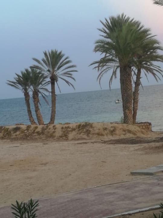 Ausblick Hotel El Mouradi Djerba Menzel
