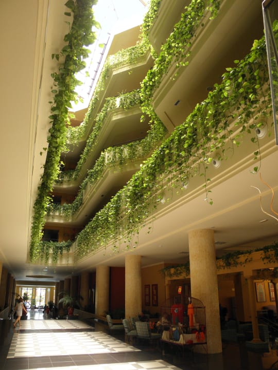 Recepcja i hol Playacanela Hotel