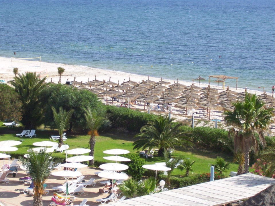 Strand und Volleyballfeld Hotel El Mouradi Palm Marina