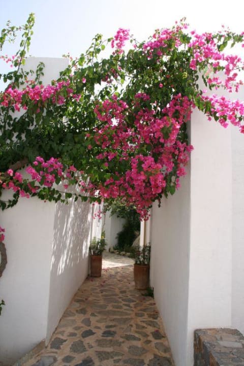 Zugang Anlage Creta Maris Resort