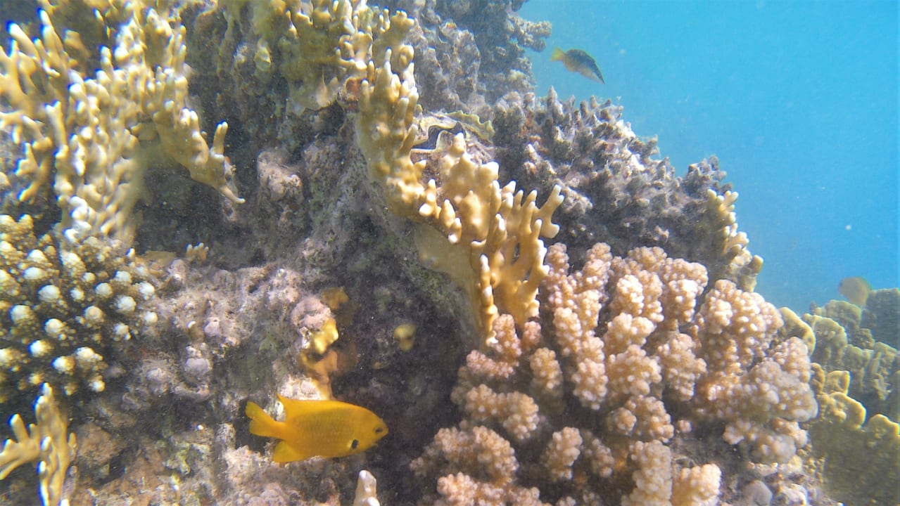 Sport & Freizeit Makadi Spa - Adults only