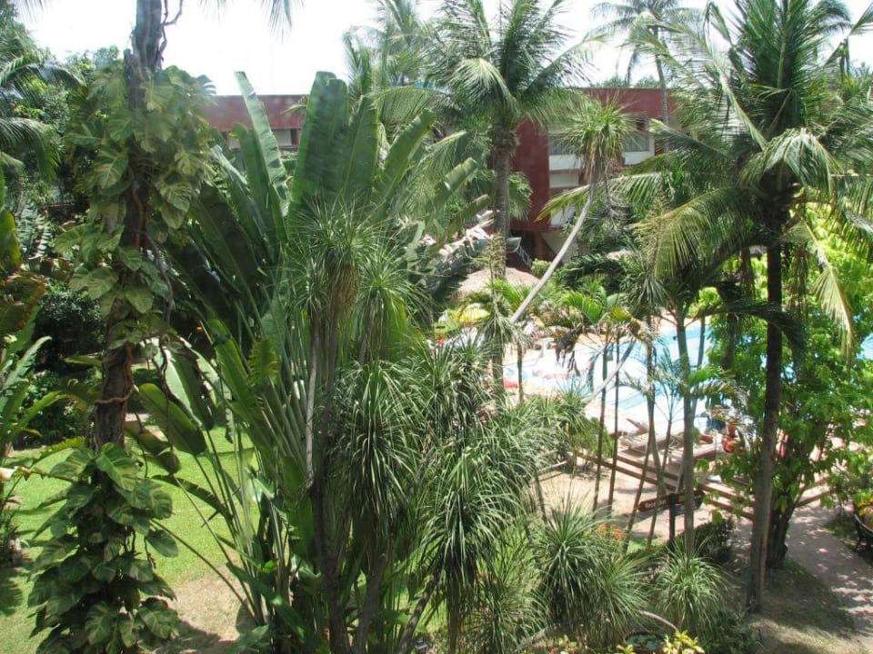 Garten. Basaya Beach Hotel & Resort