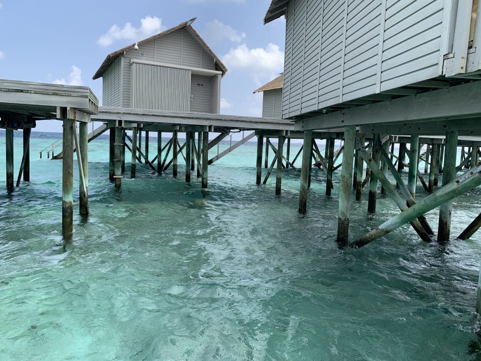 Zimmer Centara Ras Fushi Resort & Spa Maldives