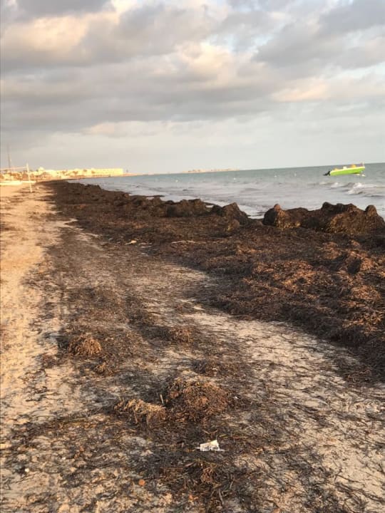 Strand Djerba Sun Beach Hotel & Spa