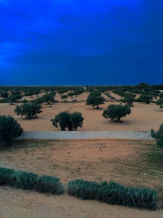 Ausblick Maison dˋHôte Domaine El-Manar
