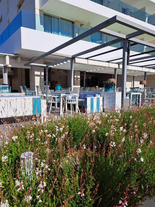 Gartenanlage Hipotels Gran Playa De Palma