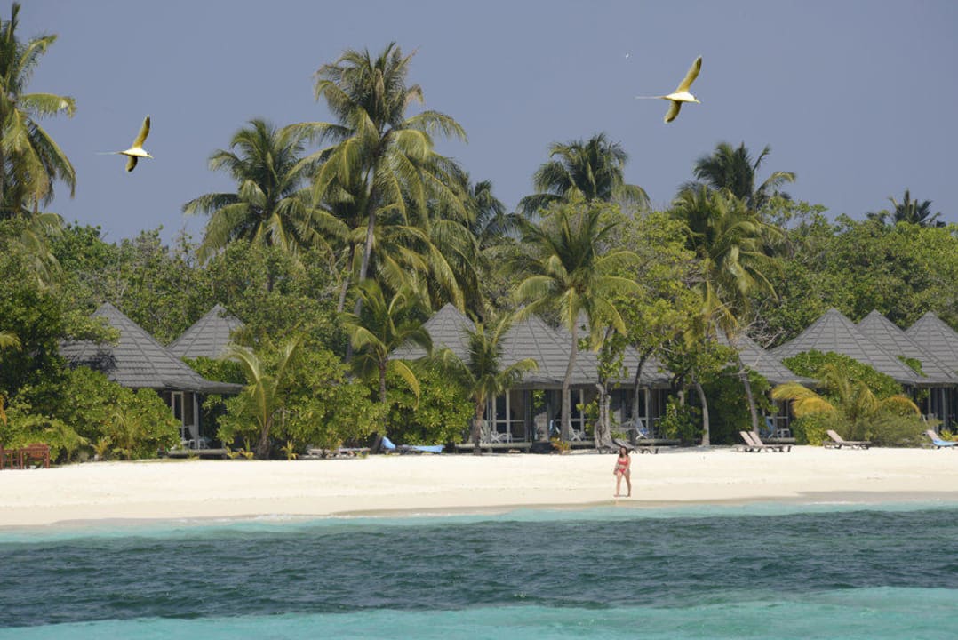 Südstrand Kuredu Island Resort & Spa