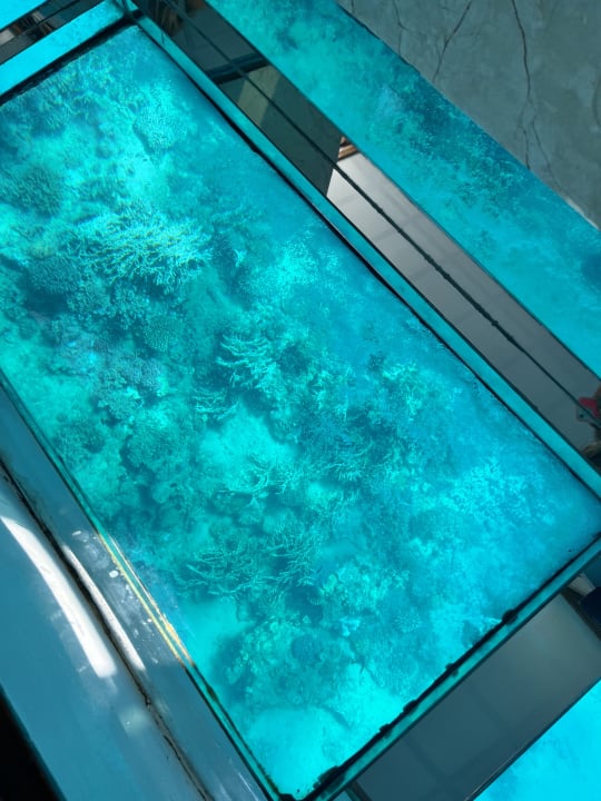 Sport & Freizeit Hotel Sheraton Soma Bay Resort