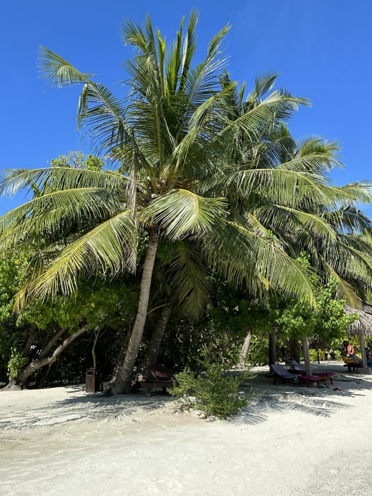 Strand Cinnamon Dhonveli Maldives