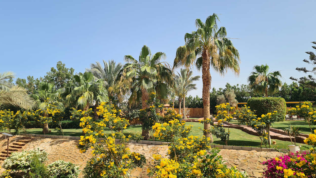 Gartenanlage Three Corners Sea Beach Resort