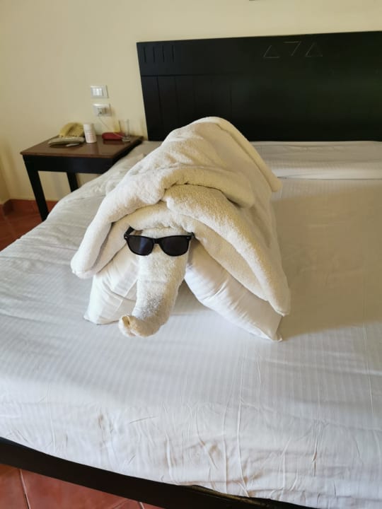 Zimmer Three Corners Sea Beach Resort