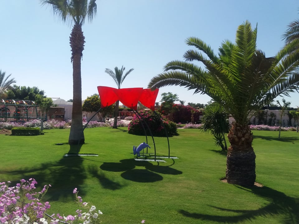 Gartenanlage Desert Rose