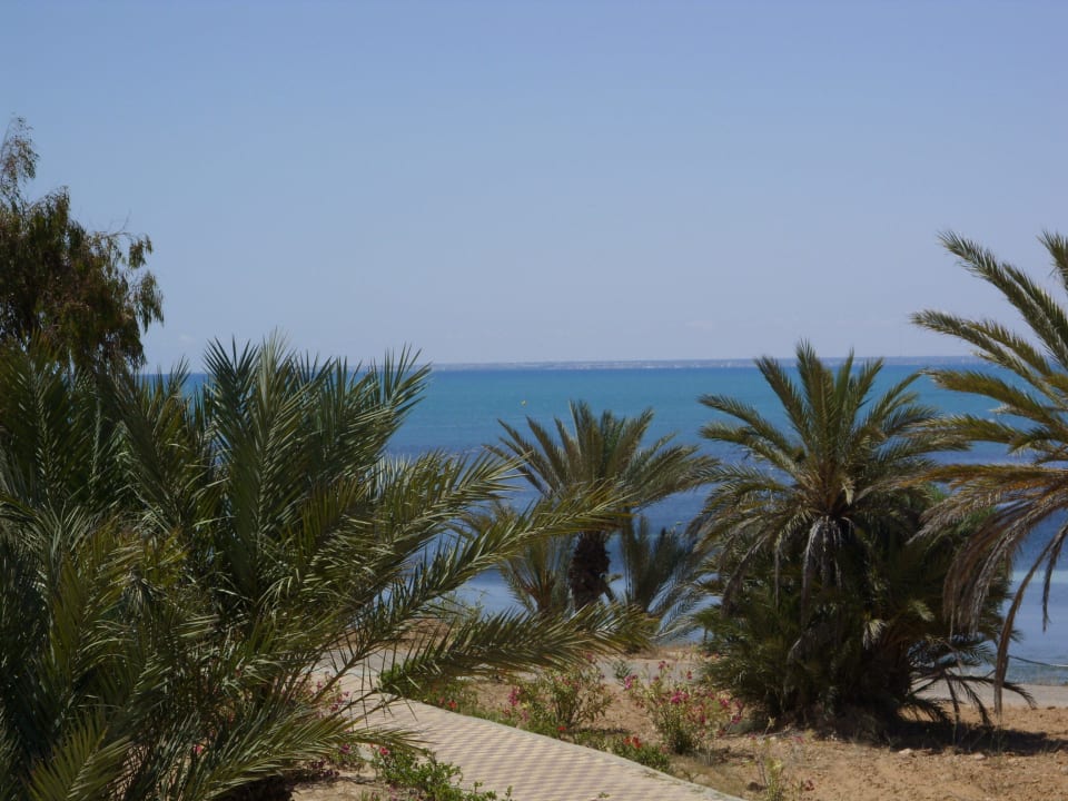 Weg zum Strand Hotel El Mouradi Djerba Menzel