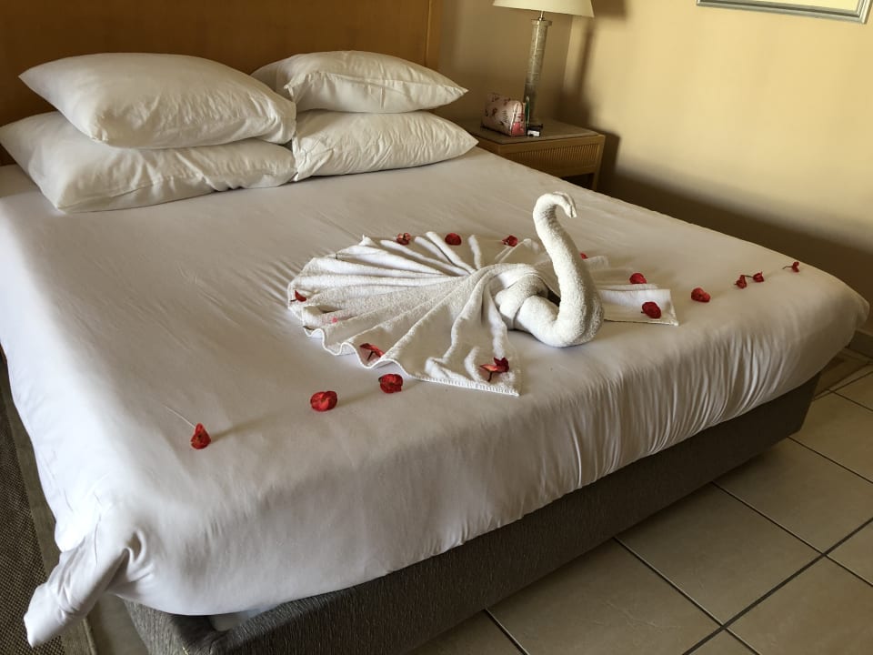 Zimmer Hotel JAZ Makadi Star & Spa