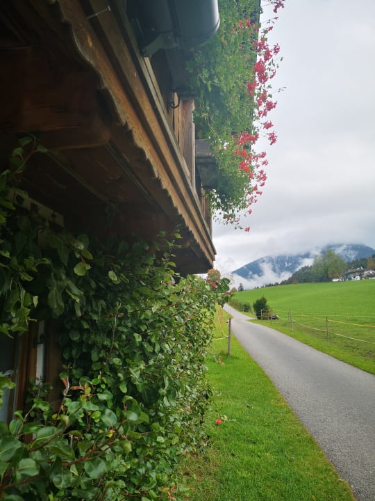 Ausblick Ferienwohnung Oberreitlehen