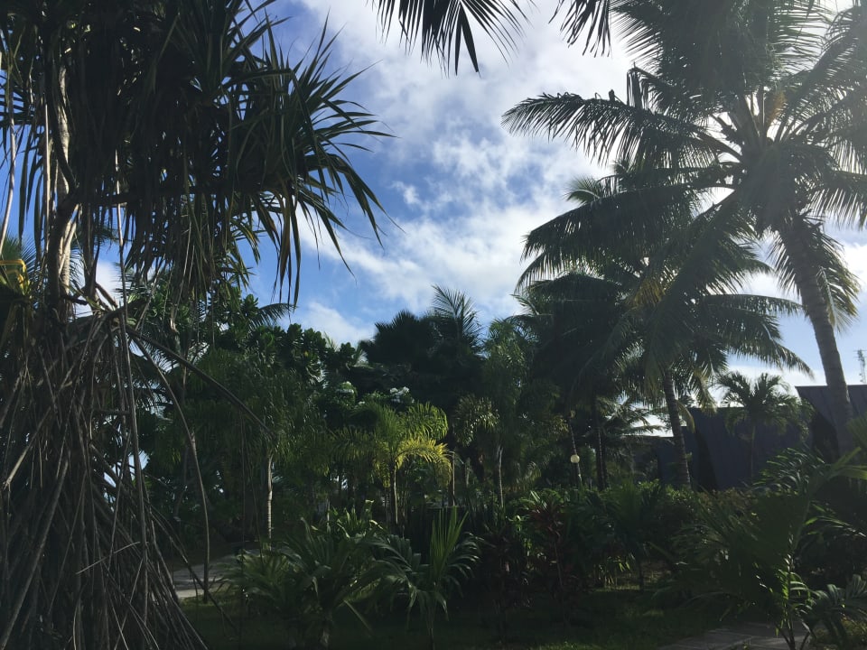 Garten La Digue Island Lodge
