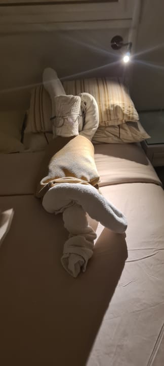 Zimmer Makadi Spa - Adults only