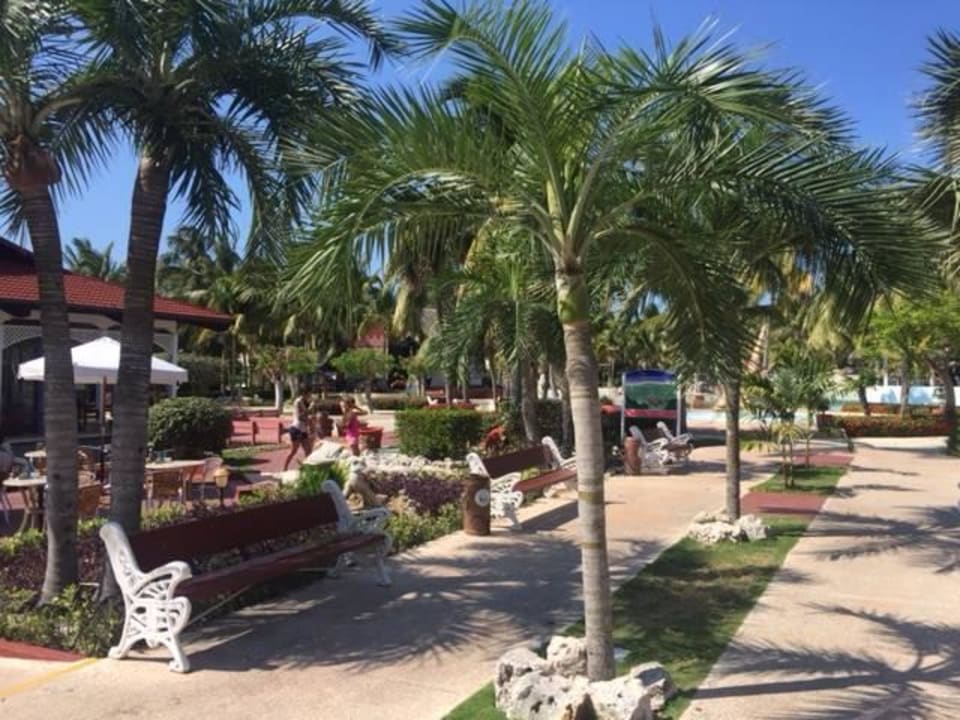 Gartenanlage Hotel Sol Cayo Santa Maria