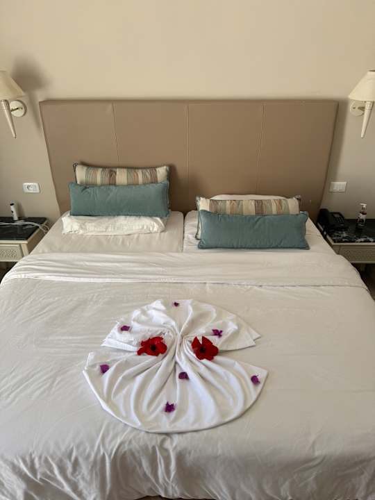 Zimmer Hotel Royal Nozha