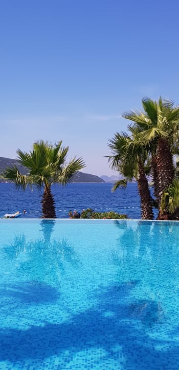 Pool TUI MAGIC LIFE Bodrum - Adult Only (16+)
