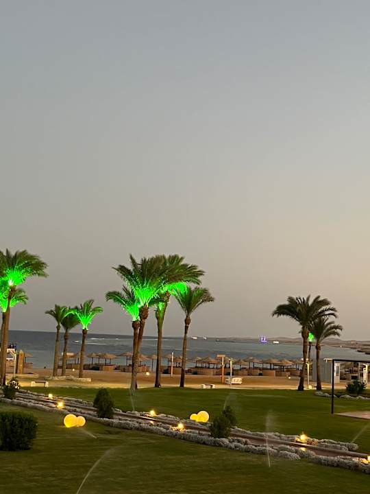 Ausblick Pickalbatros Palace Hotel-Port Ghalib