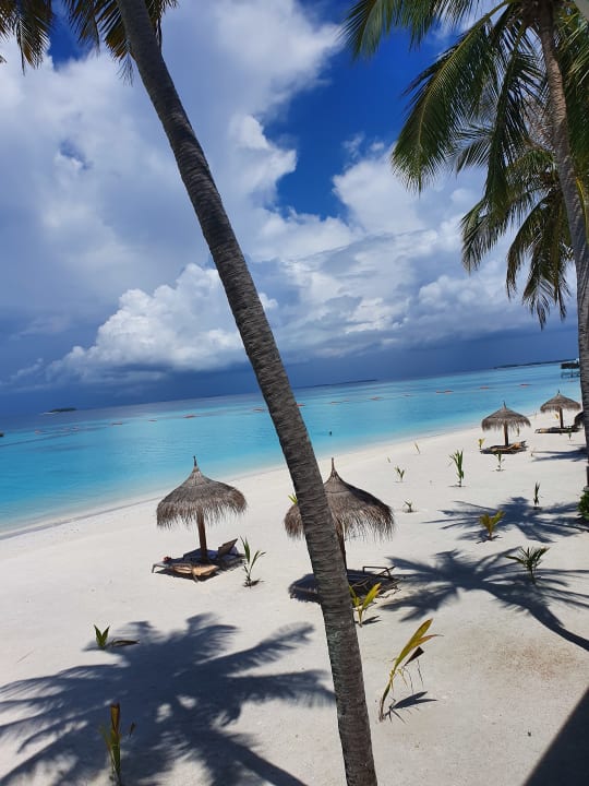 Strand Hotel Riu Palace Maldivas