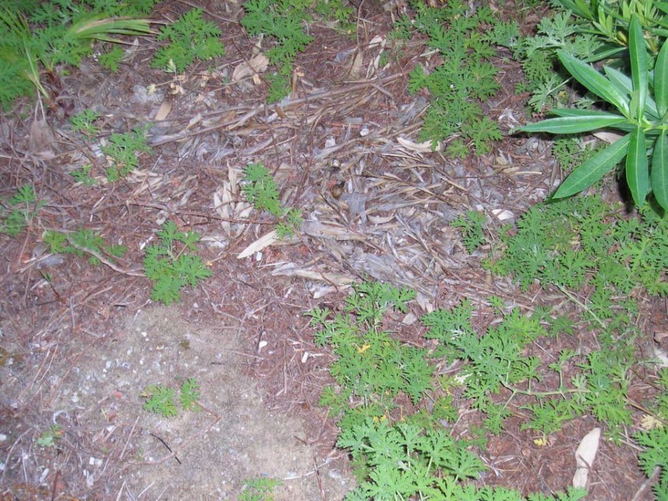 Der Zimmerausblick Sandy Beach Resort