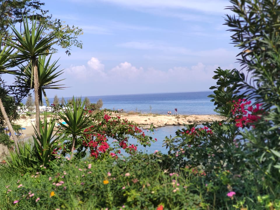 Gartenanlage Crystal Springs Beach Hotel