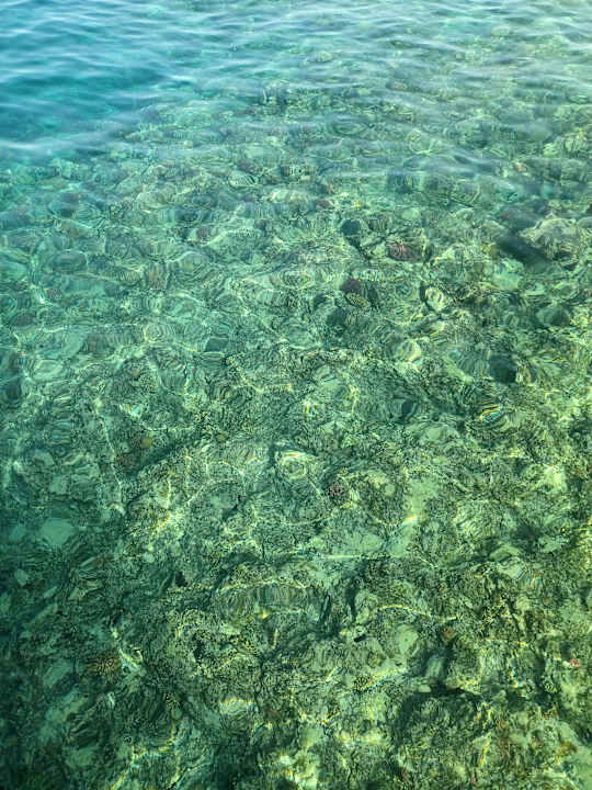 Strand Serenity Alpha Beach