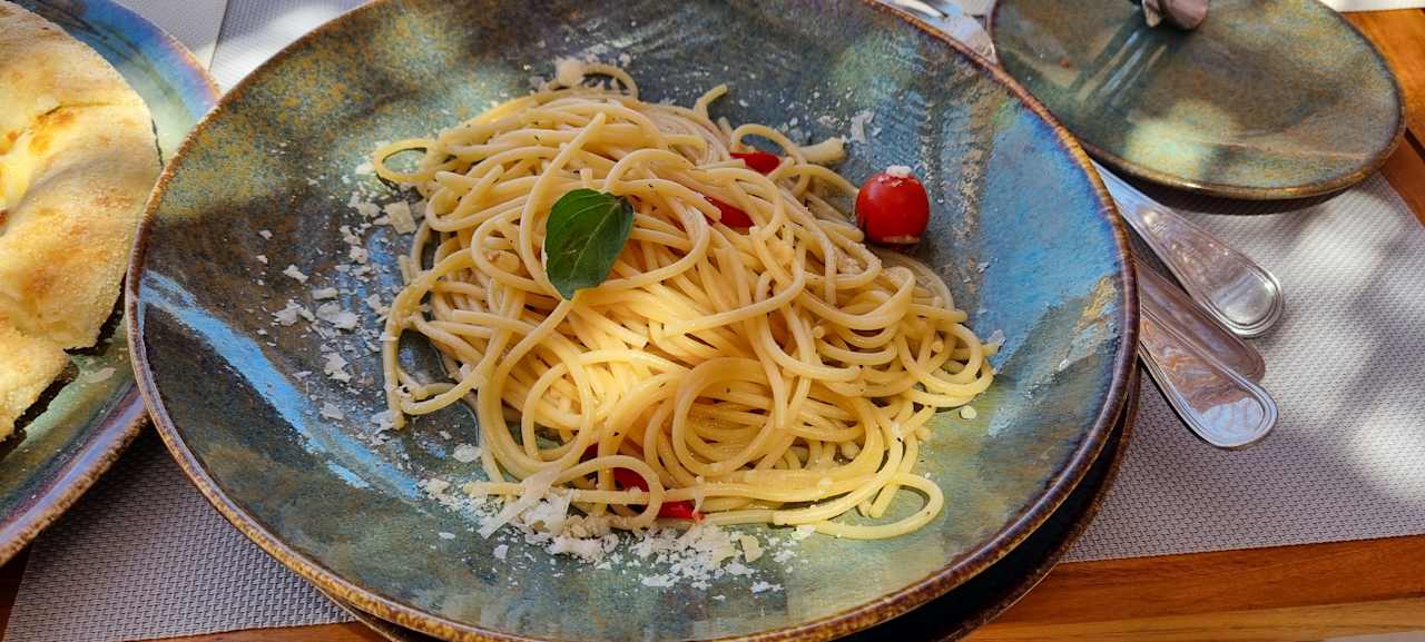 Gastro JAZ Elite Asteria