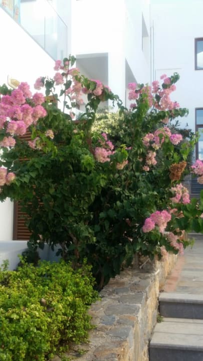 Gartenanlage Maritimo Beach Hotel