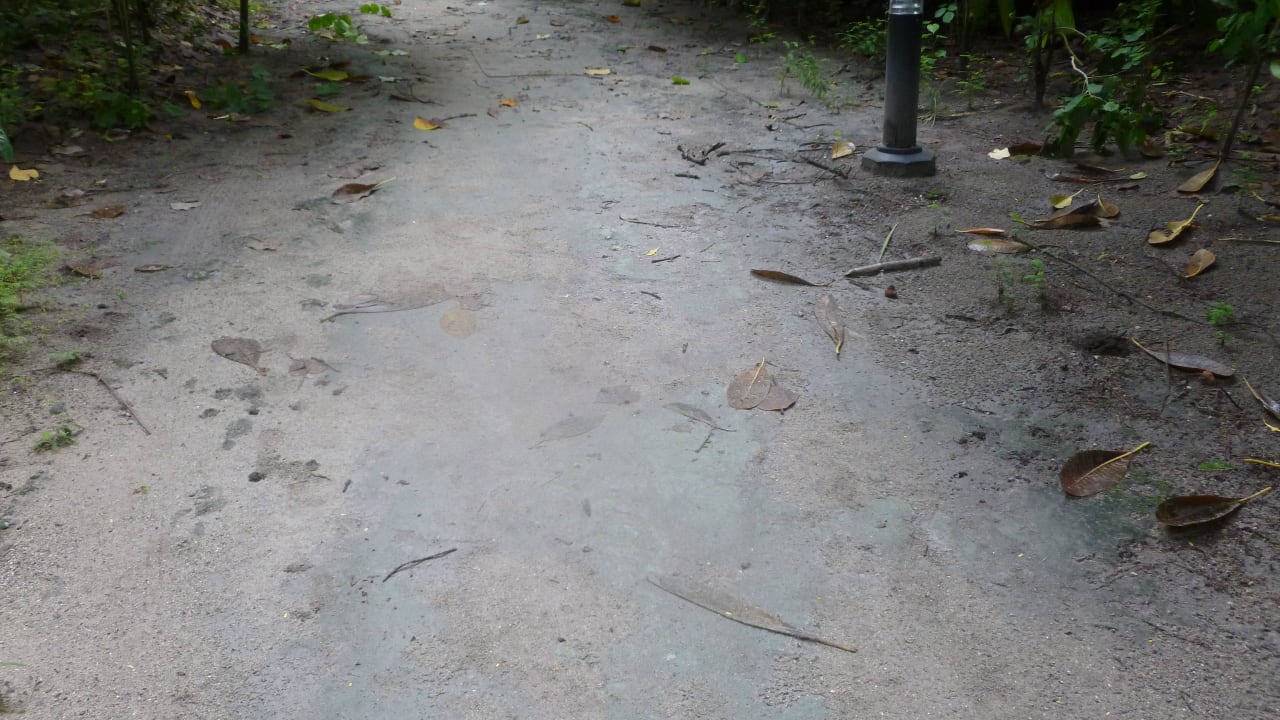 Weg ohne Sand nur Korallen Filitheyo Island Resort