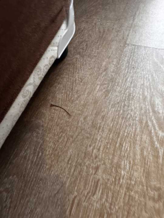 Zimmer Well Palace Side