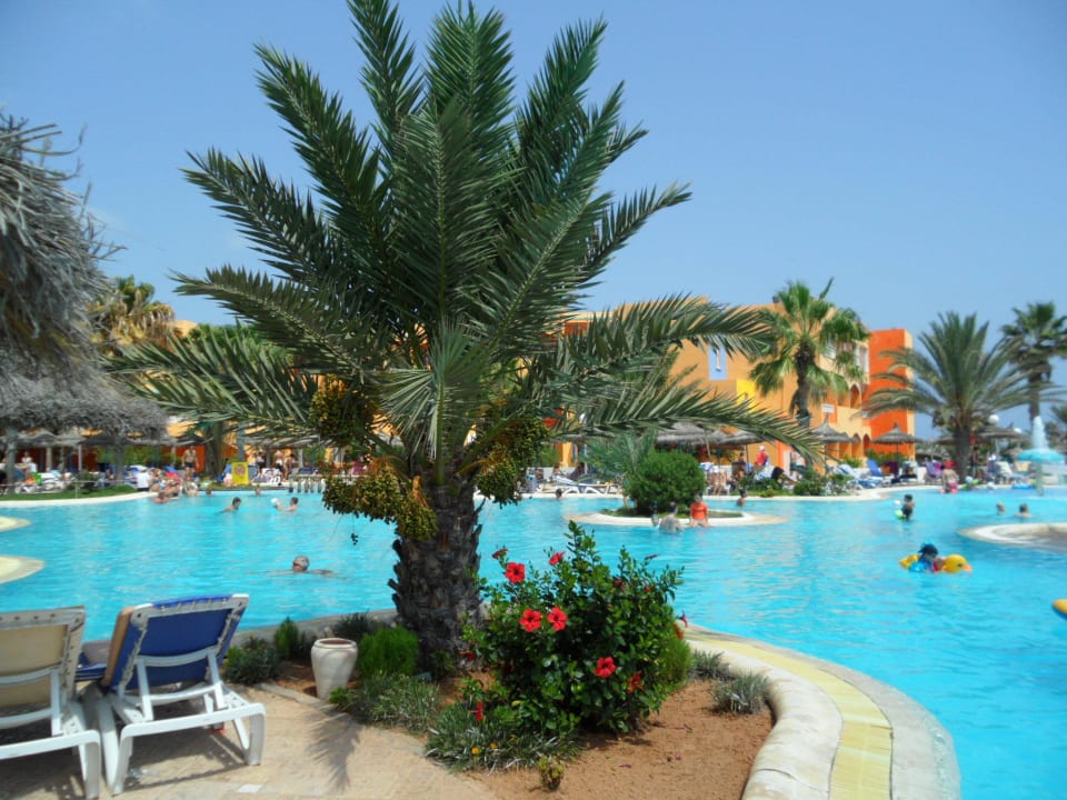 Am Pool Caribbean World Thalasso Djerba