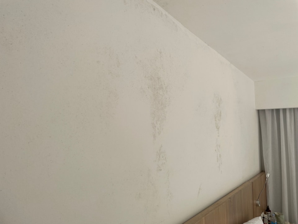 Zimmer Hotel Viva Dominicus Palace by Wyndham-All Inclusive Resort